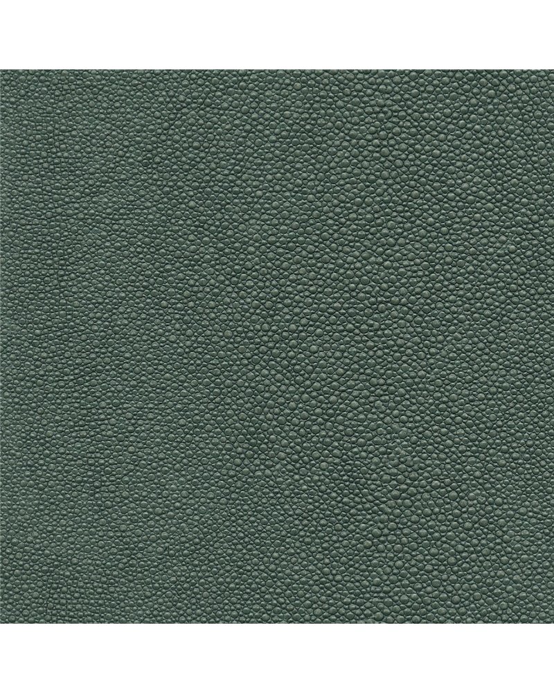 TIBURON SHAGREEN U421-89.jpg