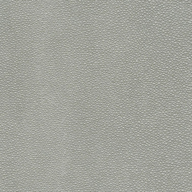 TIBURON SHAGREEN U421-90.jpg