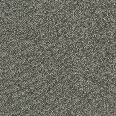 TIBURON SHAGREEN U421-95.jpg