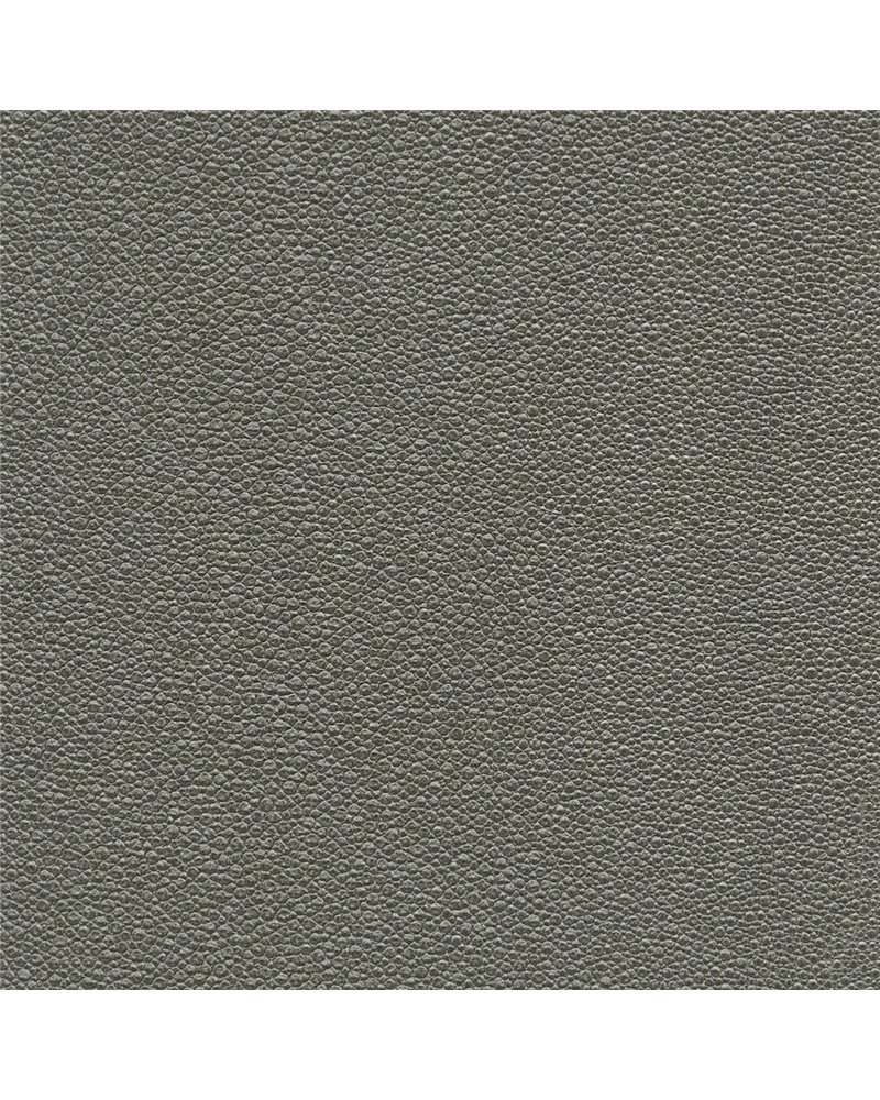 TIBURON SHAGREEN U421-95.jpg