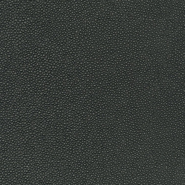 TIBURON SHAGREEN U421-99.jpg