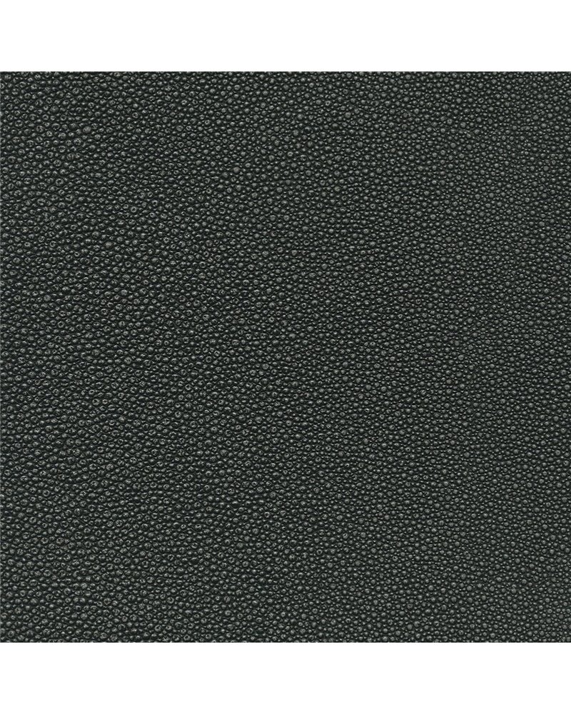 TIBURON SHAGREEN U421-99.jpg