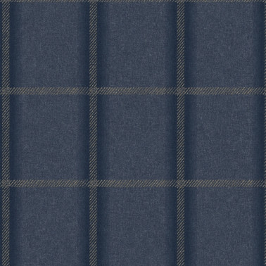 TATTERSALL-PLAID STONEWASHED TP21-07.jpg