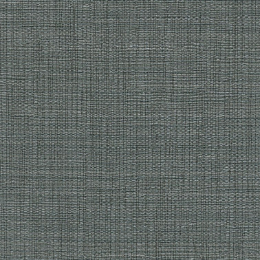 GILDED LINEN 6922-99.jpg