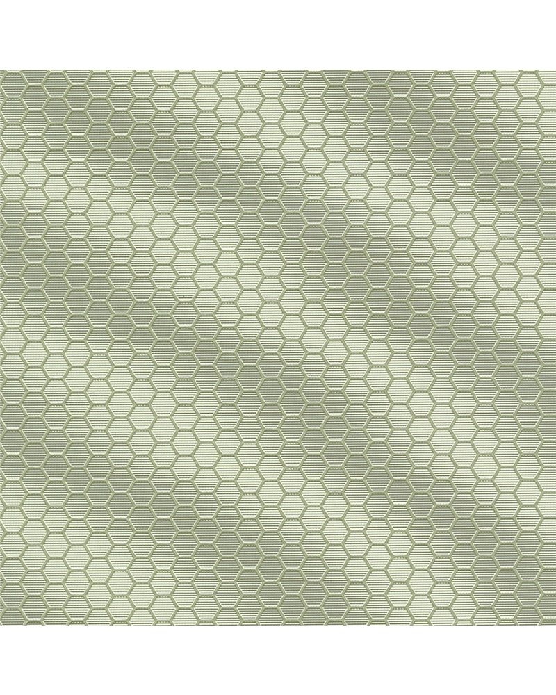 HEXAGON GRID 7422-83.jpg