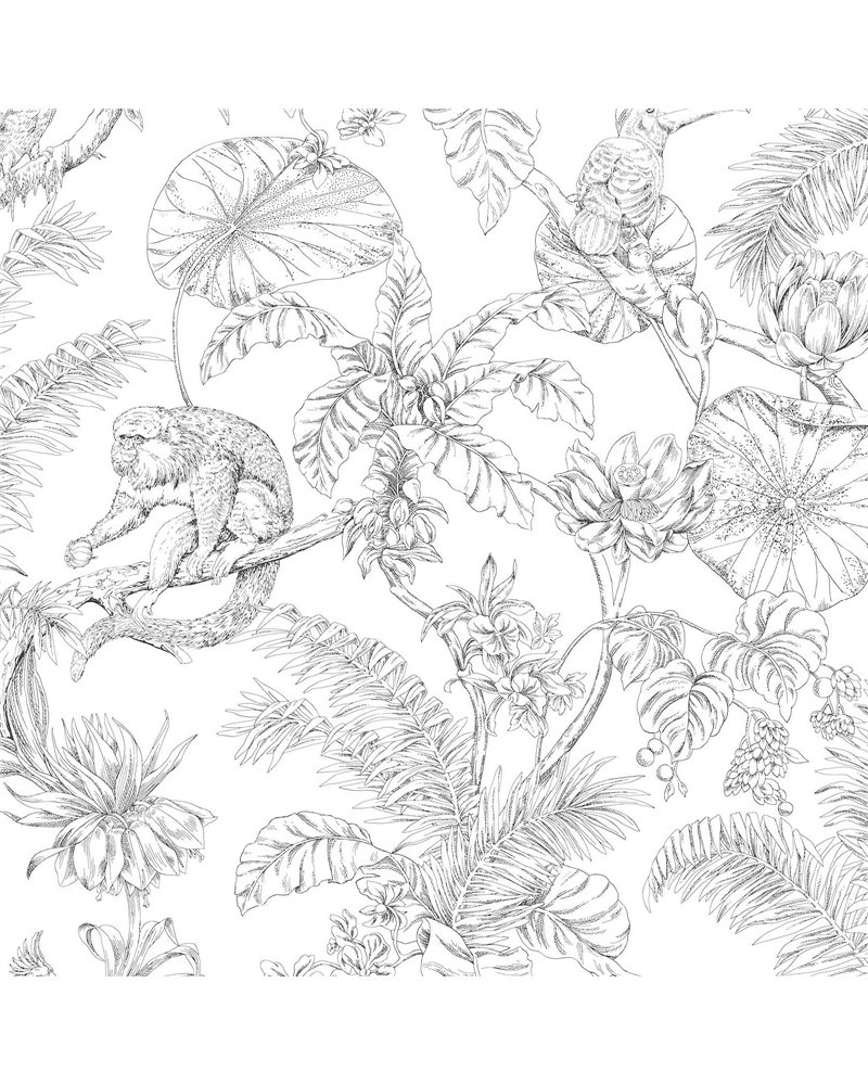 Tropical Sketch Toile Black RT7841