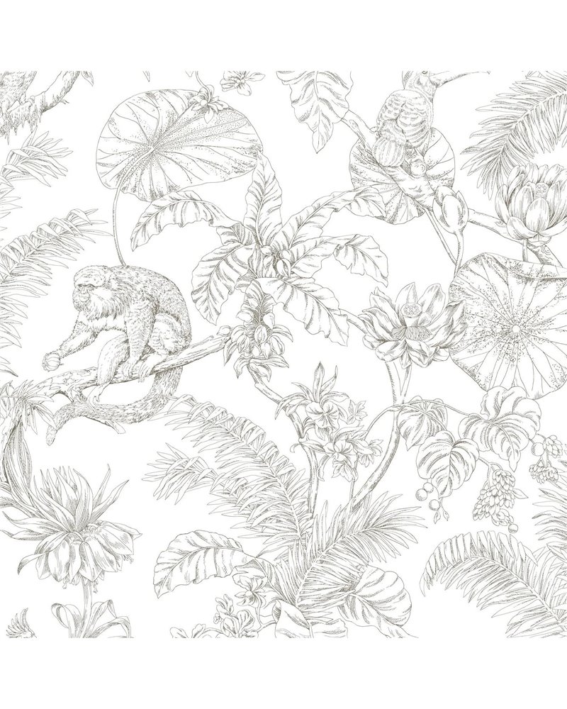 Tropical Sketch Toile Brown RT7843