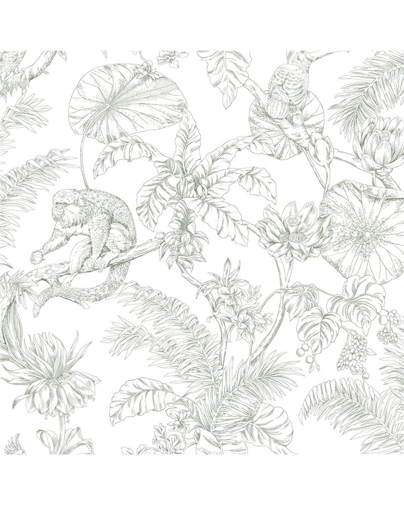 Tropical Sketch Toile Forest RT7842