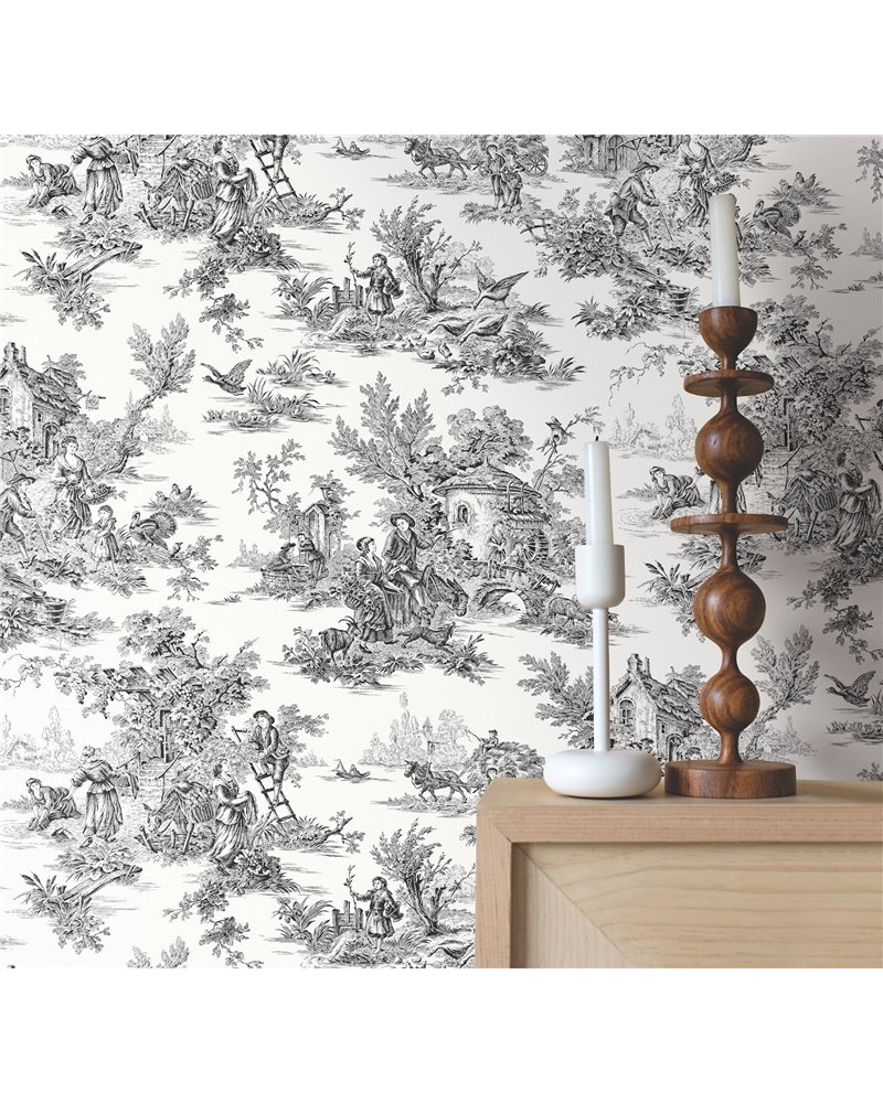 Campagne Toile Black White AT4228