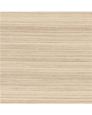 Pencil Beige 70163428