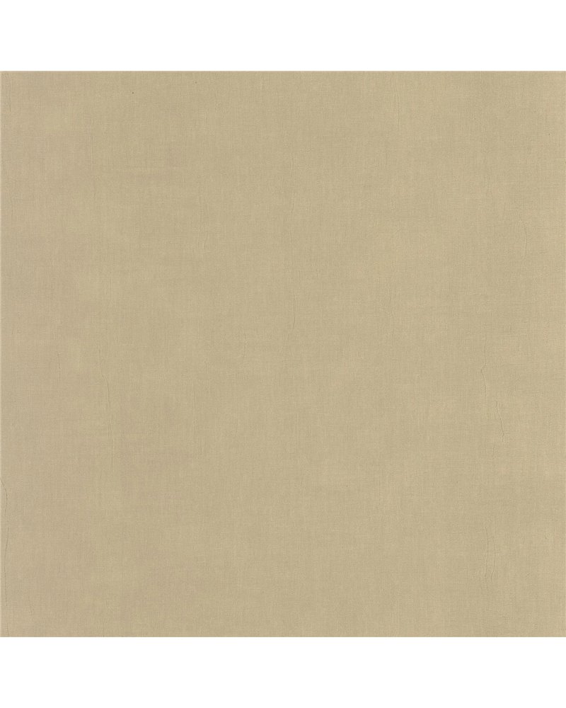 Etamine Beige Ficelle 200251919