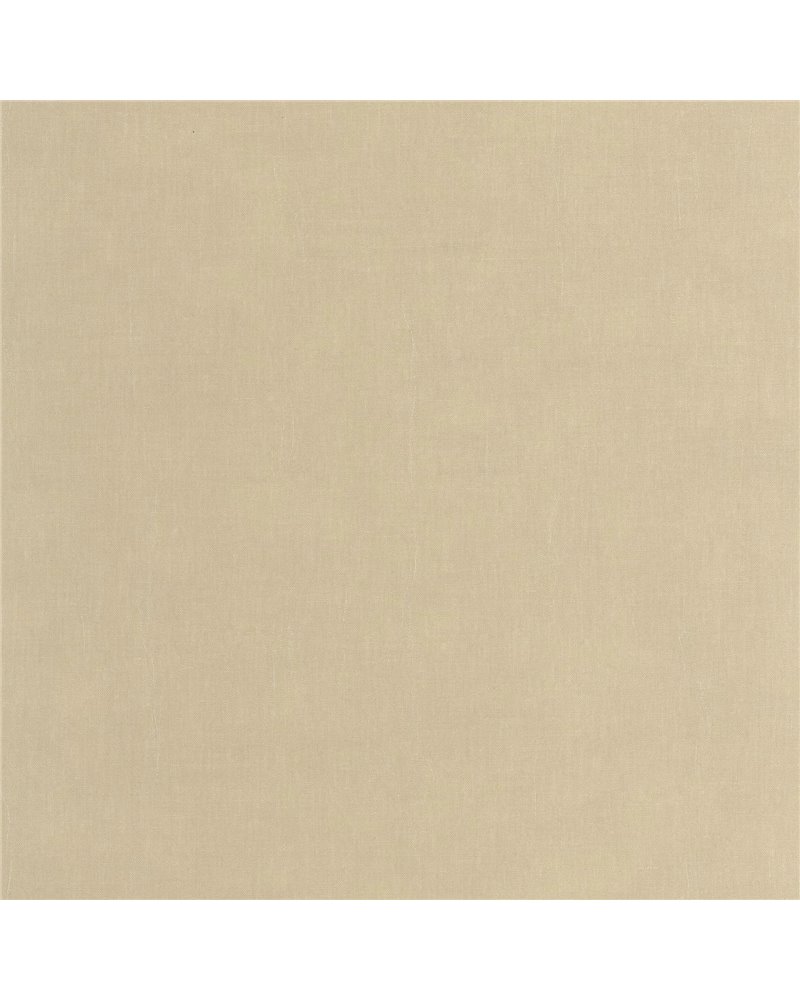 Etamine Beige Chamois 200251616