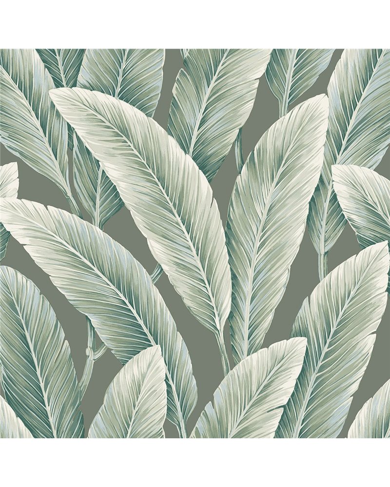 Savannah Grass II LS60204