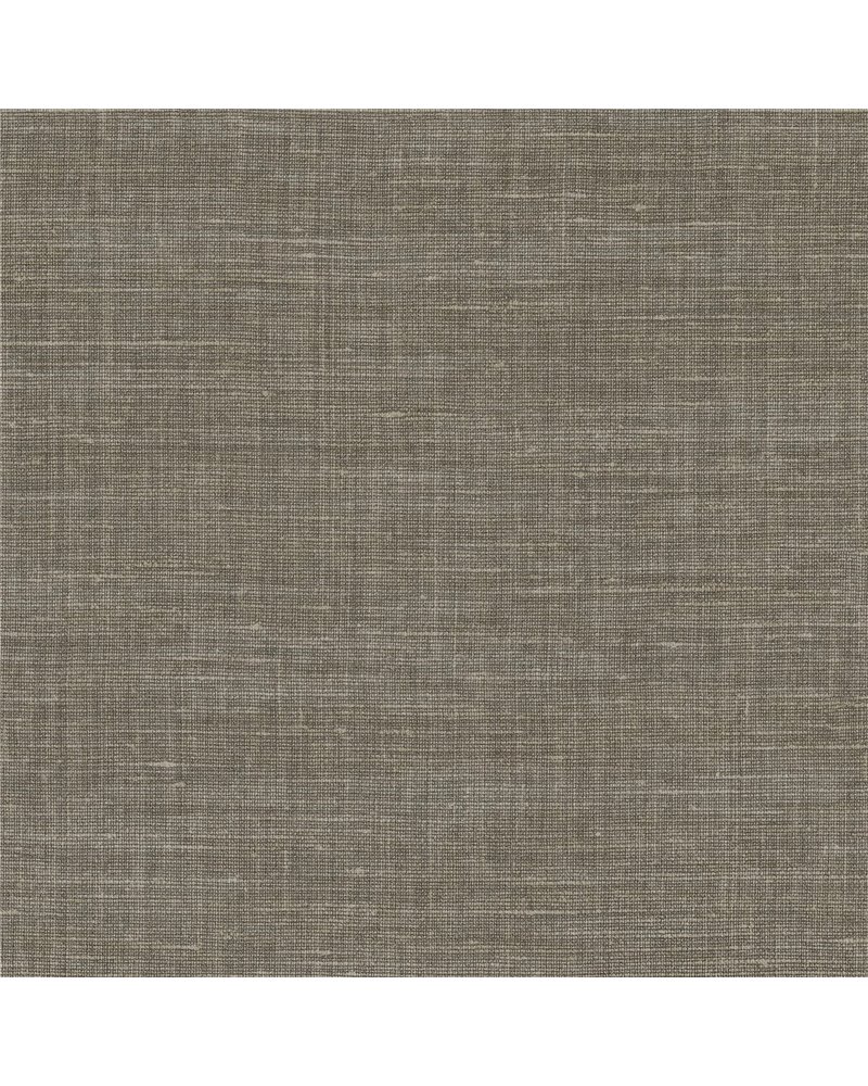 Shinok Gris Taupe 73813782