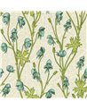 Monkshood Aqua Peashoot MVOW217344