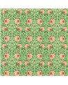 Pimpernel Shamrock Watermelon MVOF227213