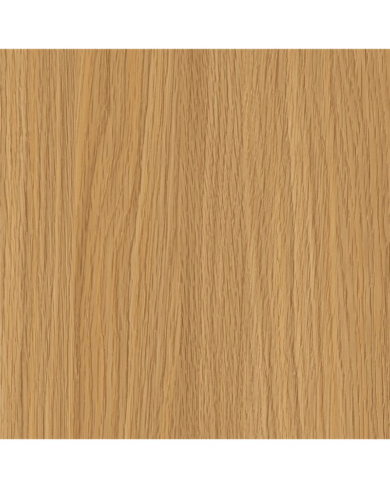 NF79 Honey Beech