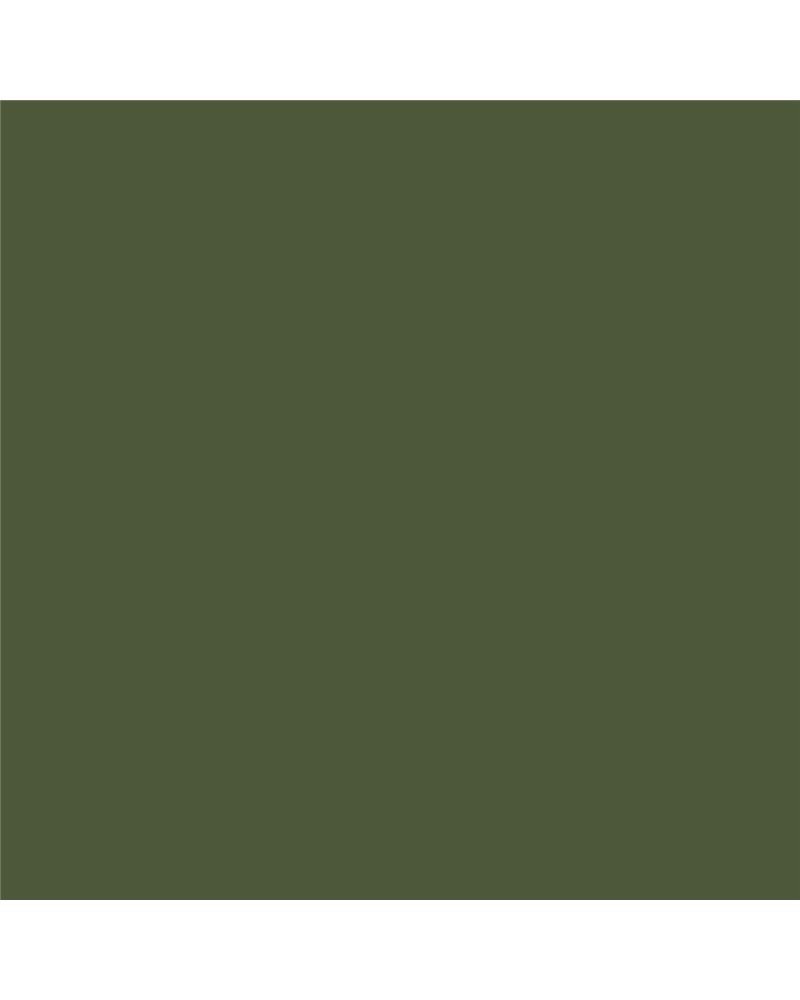 RM21 Army Green