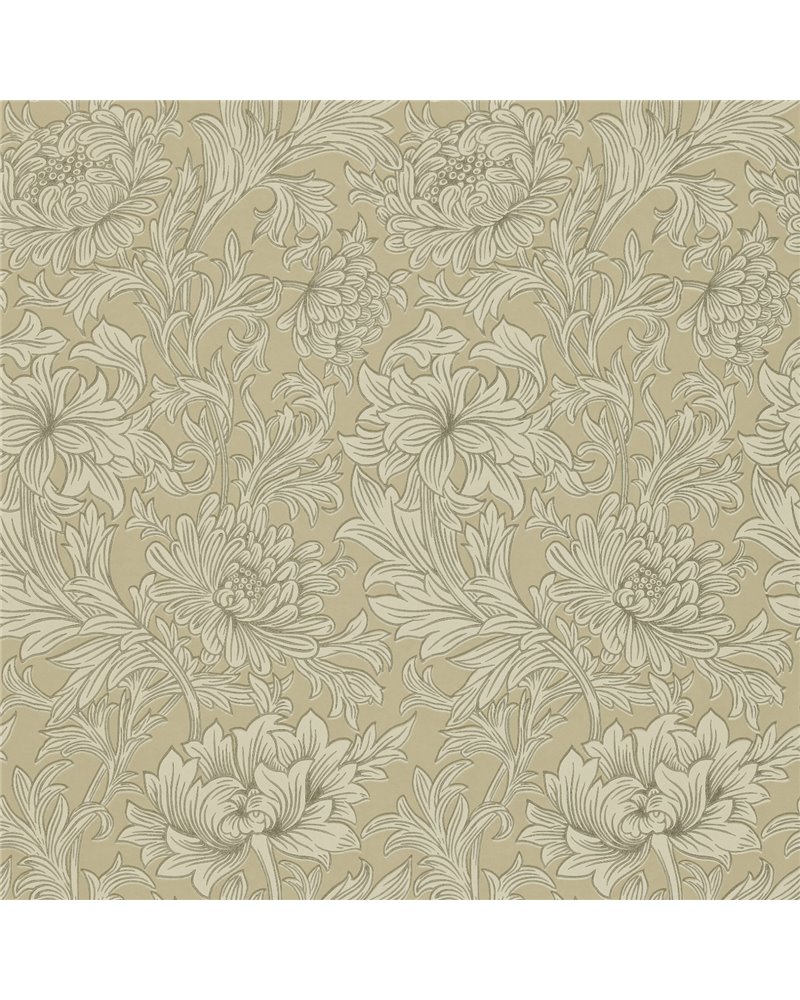 Chrysanthemum Ivory Gold DMOWCH103