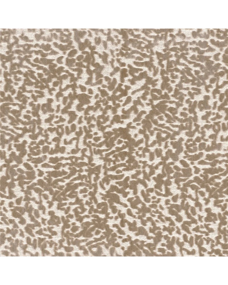 Ocema Beige 11640193