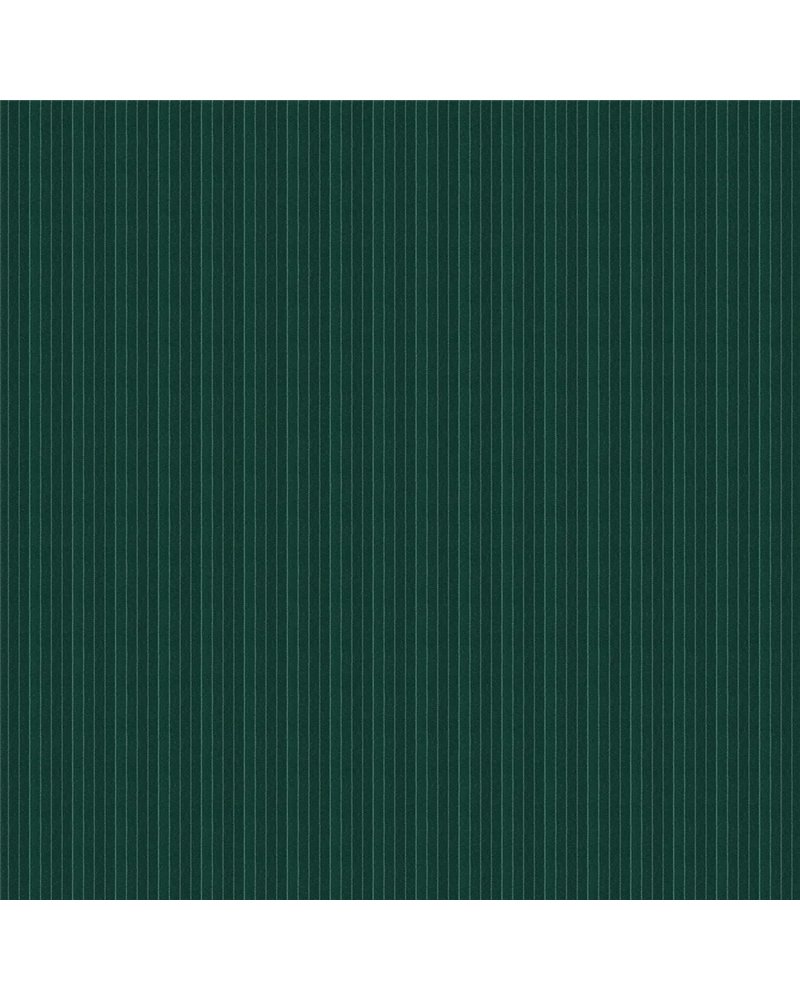 Tournament Stripe Green FRL5273-01