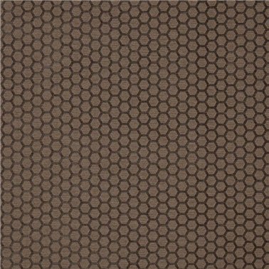 Axel Taupe J0177-05