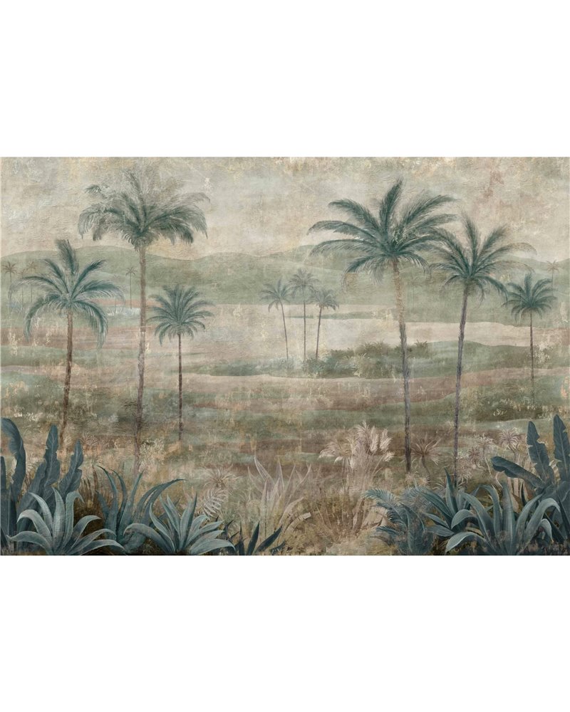 Draa Palms Sage B00454