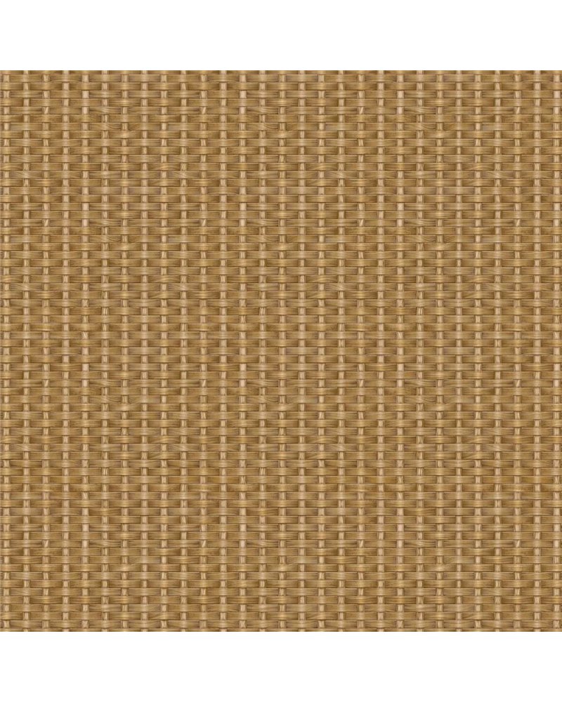 Kuba Raffia Sienna B00441