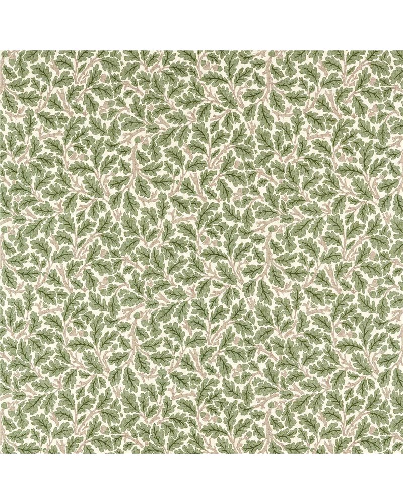 Oak Sage Green MAMB227121