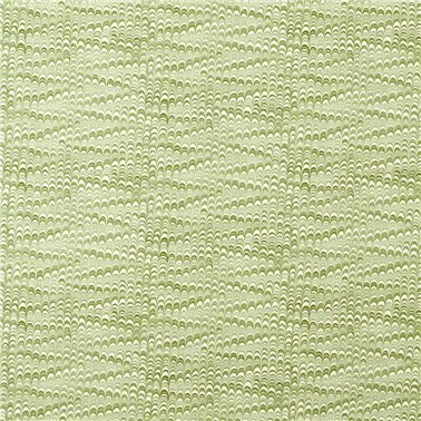 Washi Matcha HHHD121262