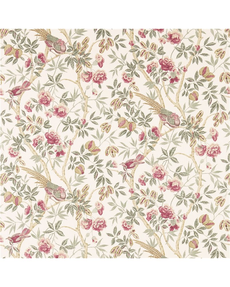 Abbeville Rose Calico DFAB223968