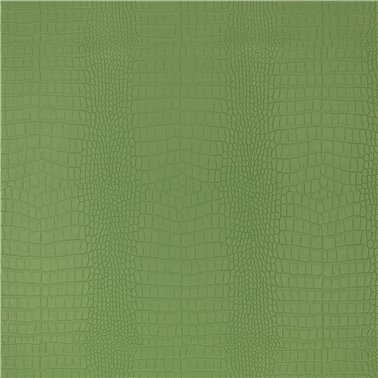 Croc Asparagus K5356-03