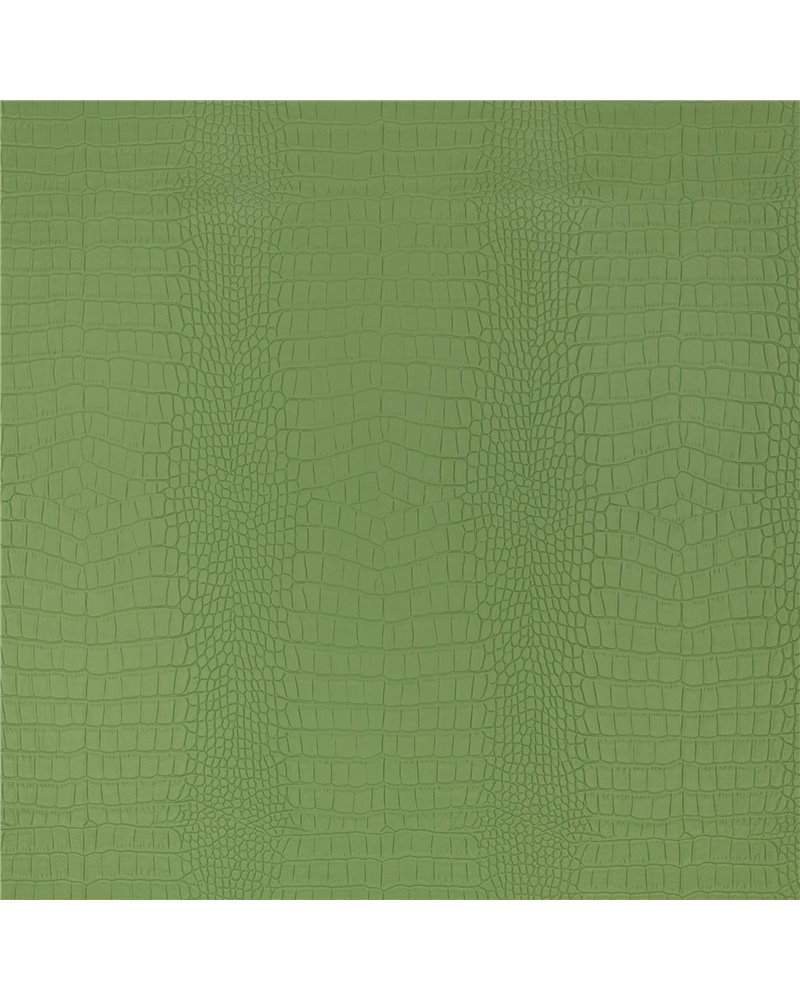 Croc Asparagus K5356-03