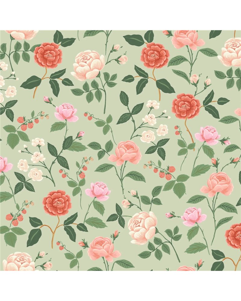 Roses Mint RF7545