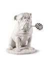 Bulldog con piruleta (Re-Deco)