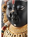 Lord Shrinathji