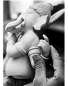 Ganesha con bansuri (Serie limitada)