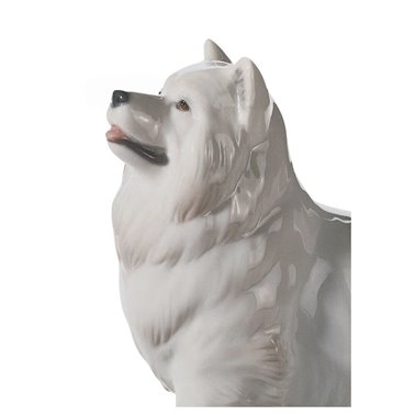 Figura del cane