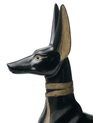 Anubis