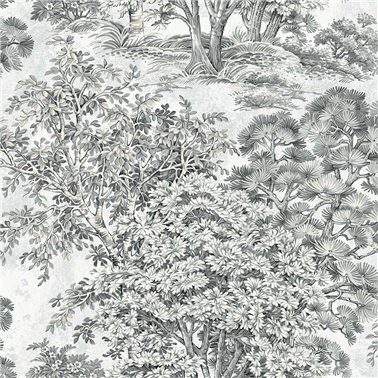 Majestic Trees - Pencil TR70600