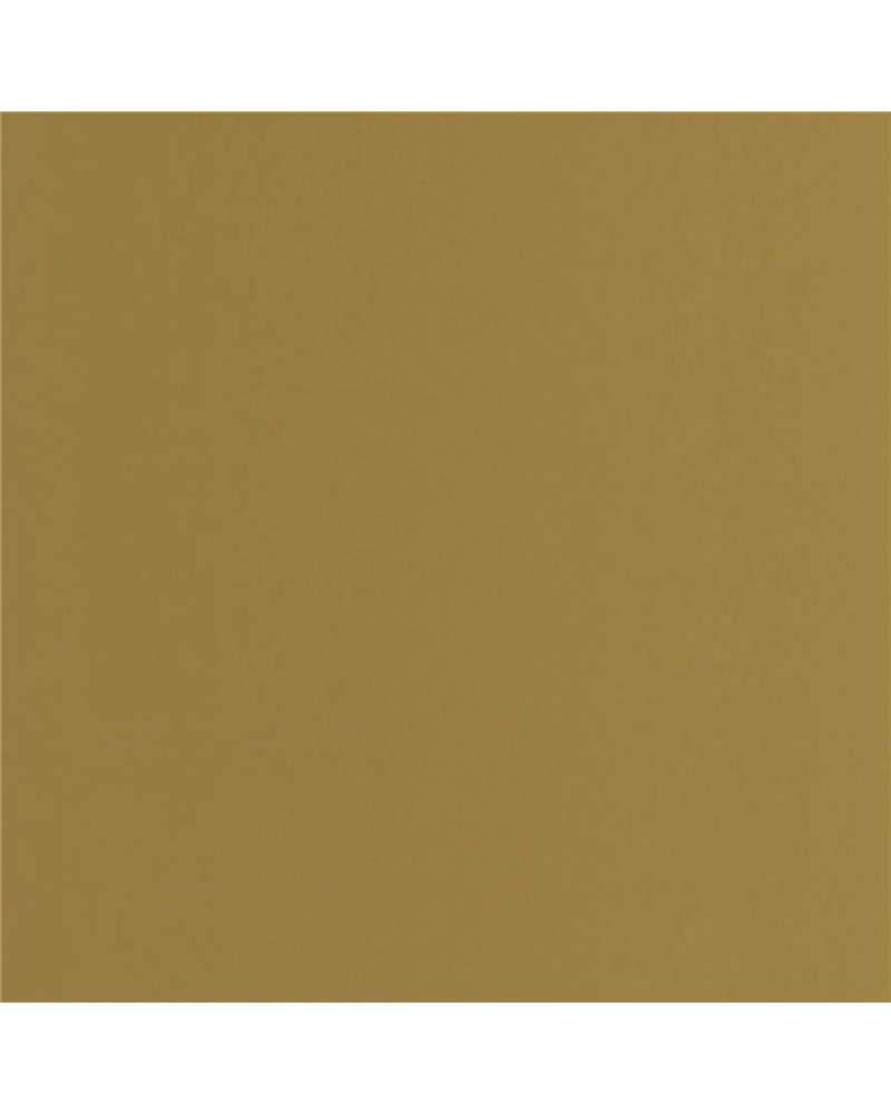 Pigments Olive 200337474