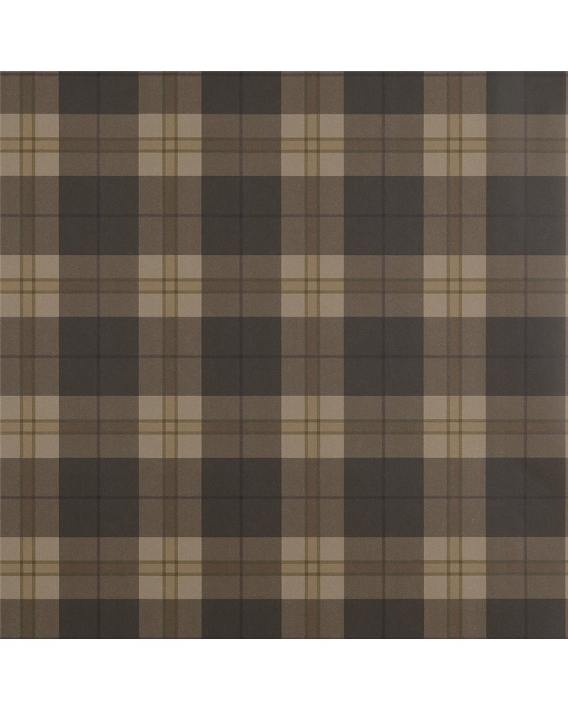 Douglas Plaid Brown T44074