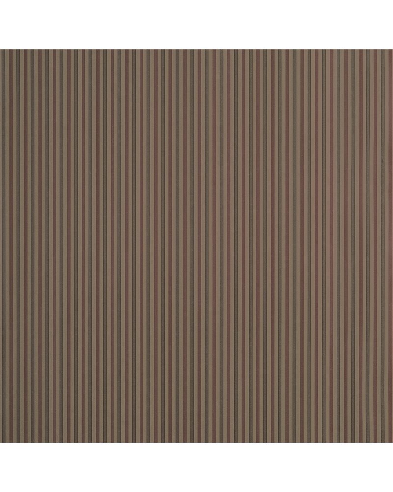 Conner Stripe Brown T44067