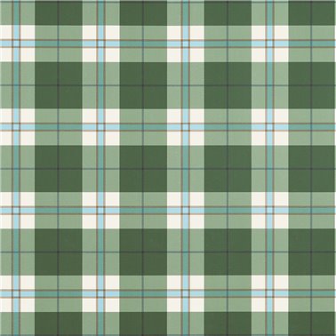 Douglas Plaid Green T44071