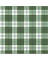 Douglas Plaid Green T44071