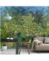 Orange Grove W7493-01