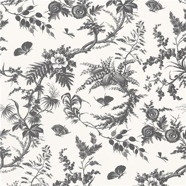 Newlands Toile Black AT57838