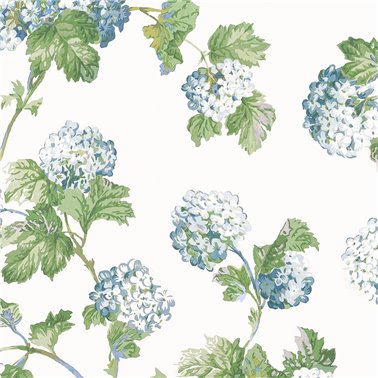 Sussex Hydrangea Blue and Green AT57846