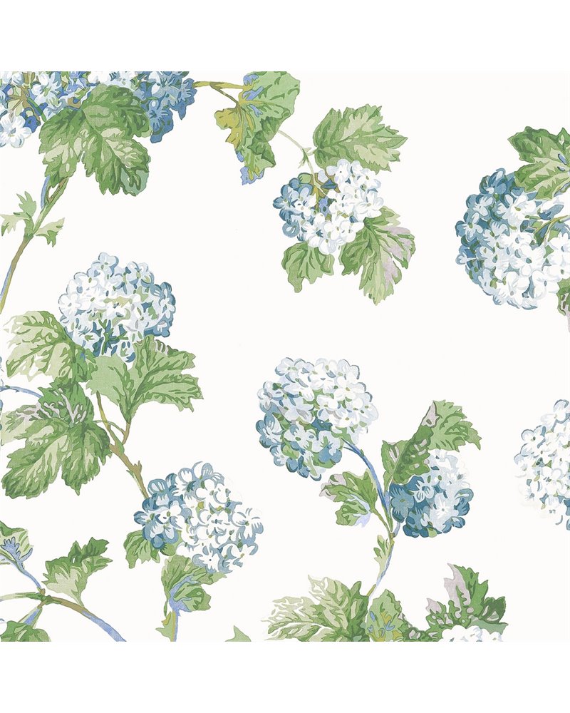 Sussex Hydrangea Blue and Green AT57846