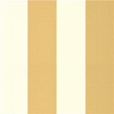 Broad Stripe Yellow-Pink 0231BSYELLO